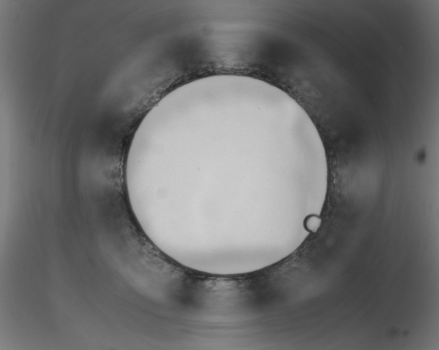 X0000116680419200912291723