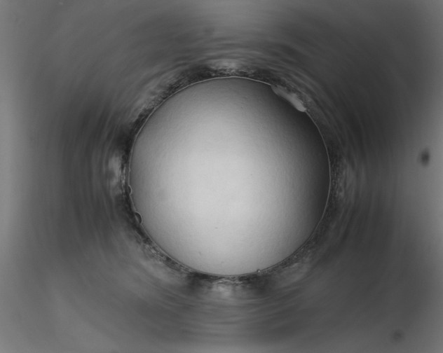 X0000116680420200912291723