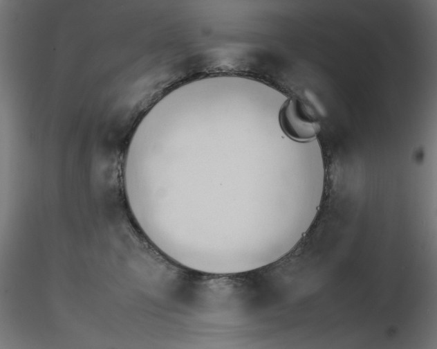 X0000116680423200912291723