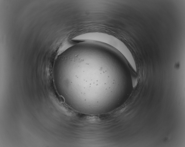 X0000116680424200912291723