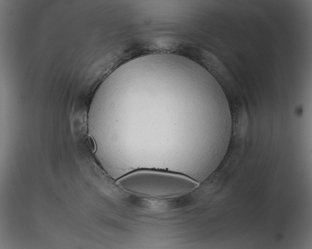 X0000116680425200912291723