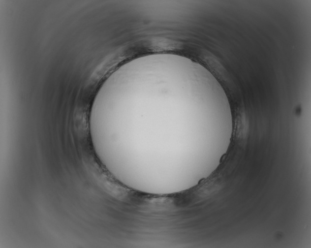 X0000116680426200912291723