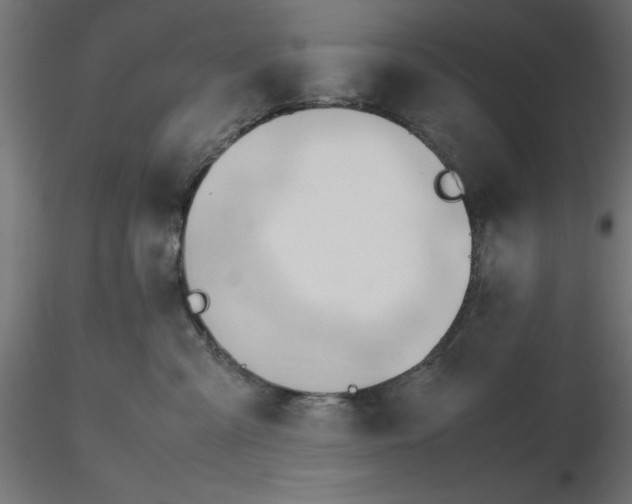 X0000116680427200912291723