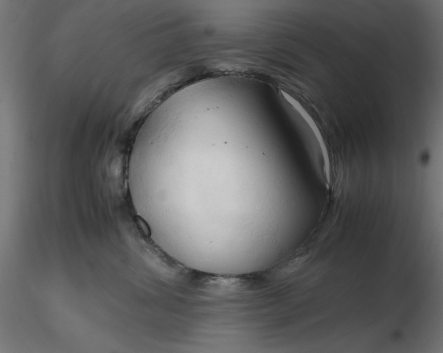 X0000116680428200912291723