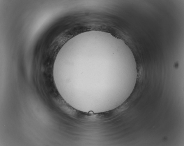 X0000116680430200912291723