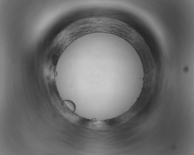 X0000116680431200912291723