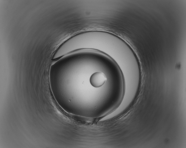 X0000116680433200912291722