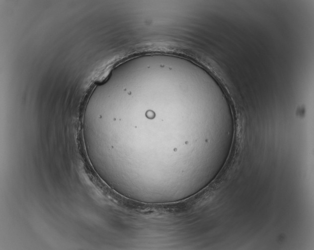 X0000116680434200912291722