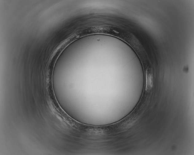 X0000116680435200912291722