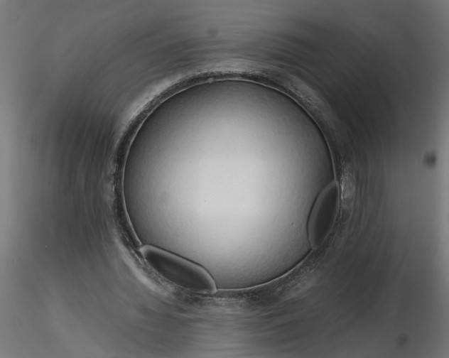 X0000116680436200912291722