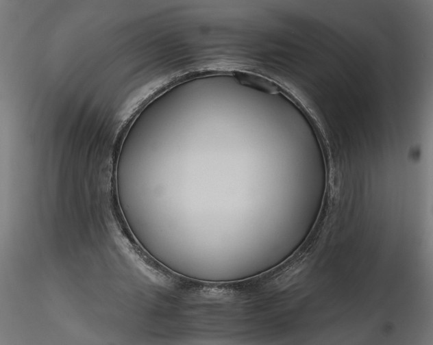 X0000116680437200912291722