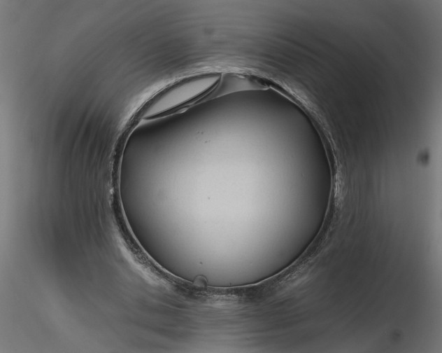 X0000116680438200912291723