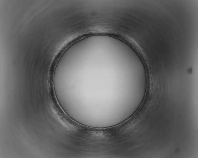 X0000116680439200912291723