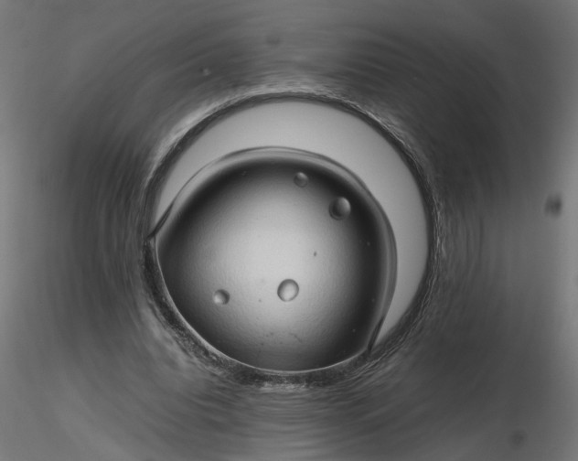 X0000116680440200912291723