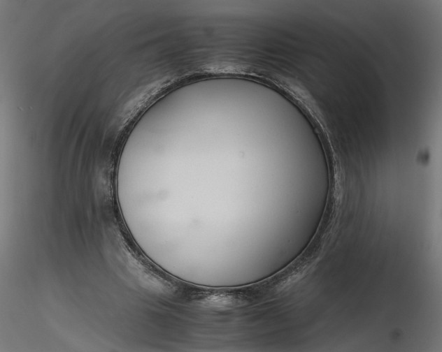 X0000116680441200912291723