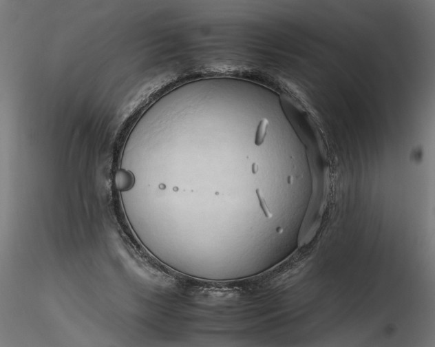 X0000116680443200912291723