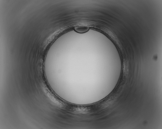 X0000116680445200912291723