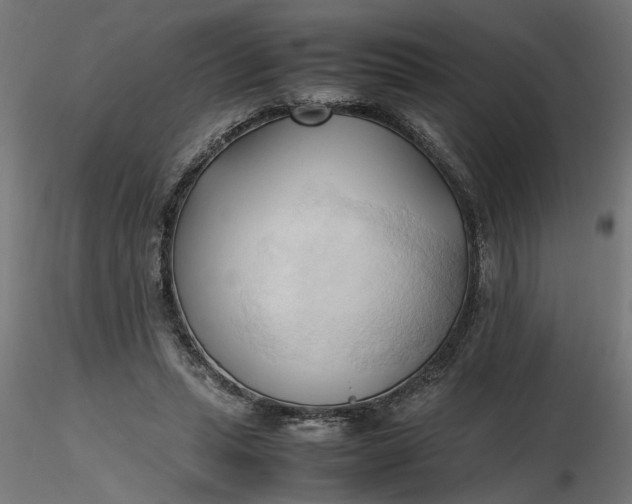 X0000116680447200912291723