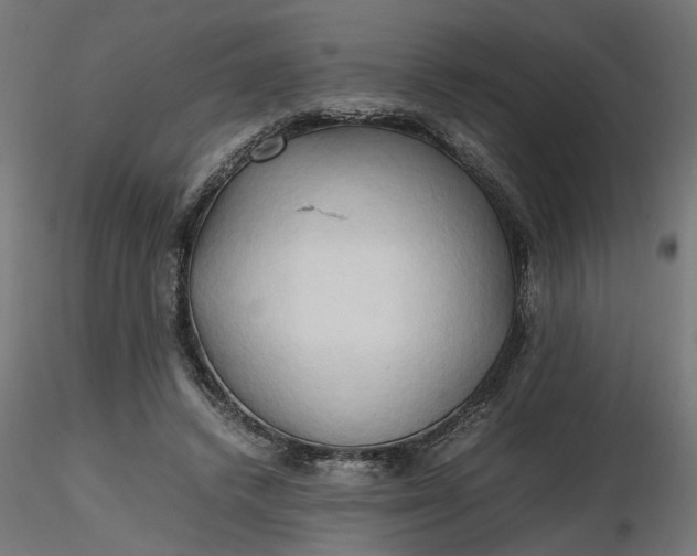 X0000116680448200912291723