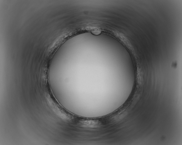 X0000116680449200912291723