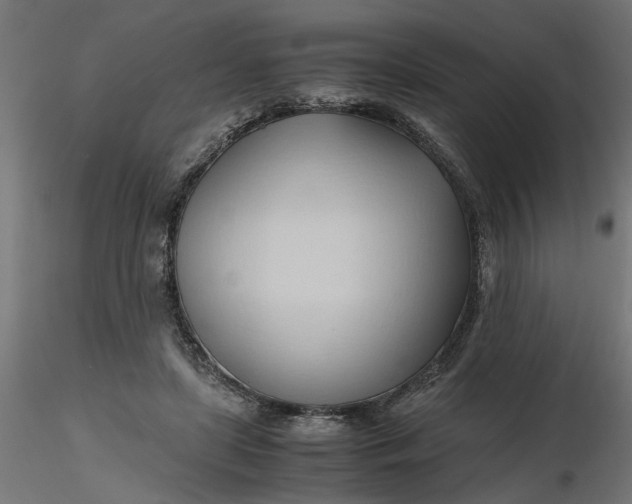 X0000116680451200912291723