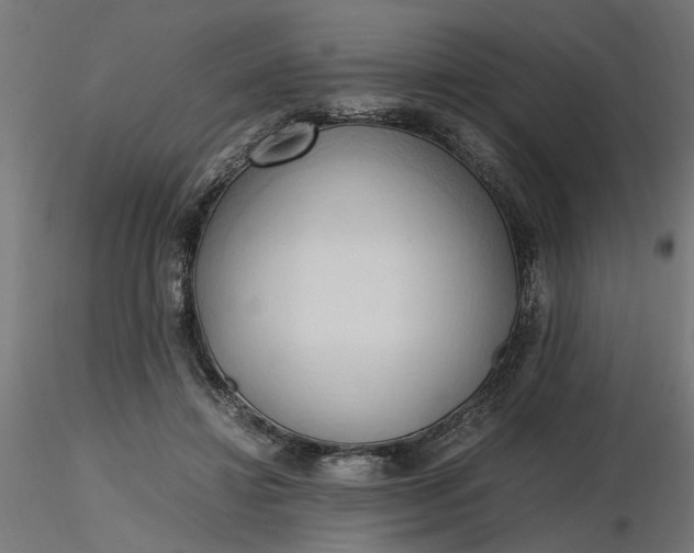 X0000116680452200912291723