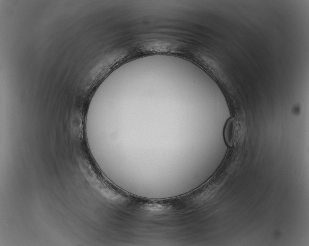 X0000116680453200912291723