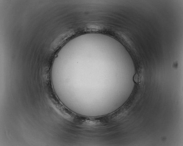 X0000116680455200912291723