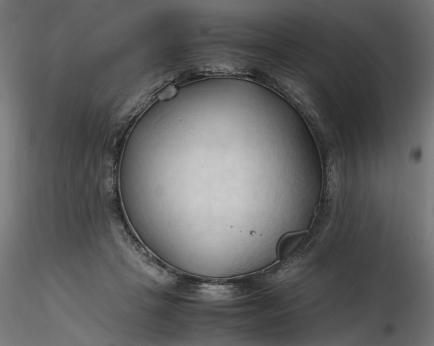 X0000116680457200912291723