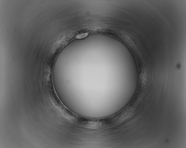 X0000116680458200912291723