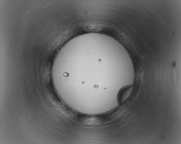 X0000116680460200912291723