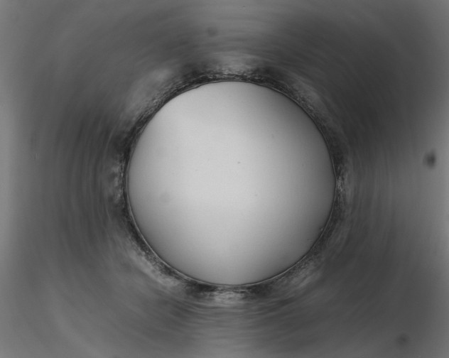 X0000116680462200912291723