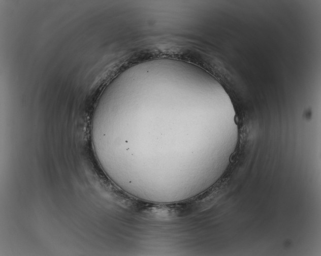 X0000116680464200912291723