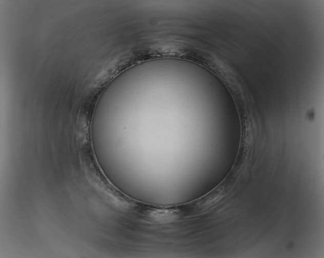 X0000116680465200912291723