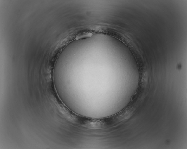 X0000116680466200912291723