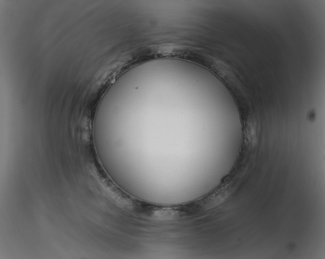 X0000116680470200912291723