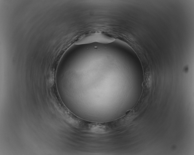 X0000116680471200912291723