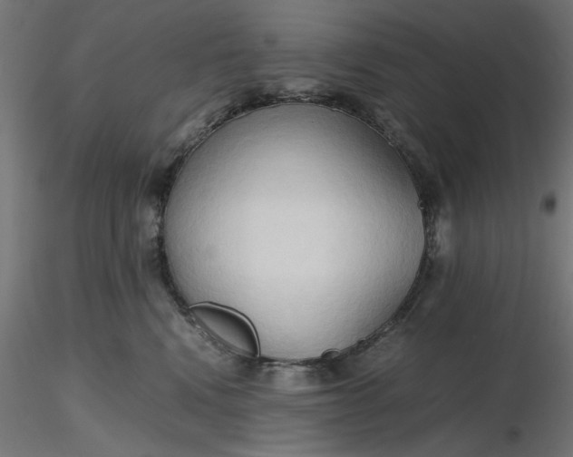 X0000116680472200912291723