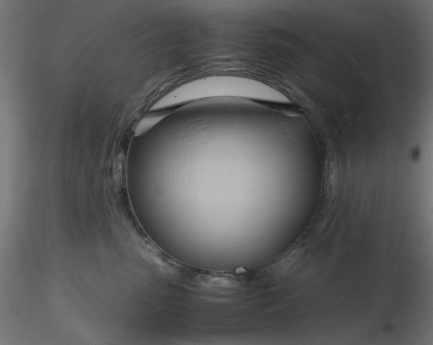 X0000116680475200912291723