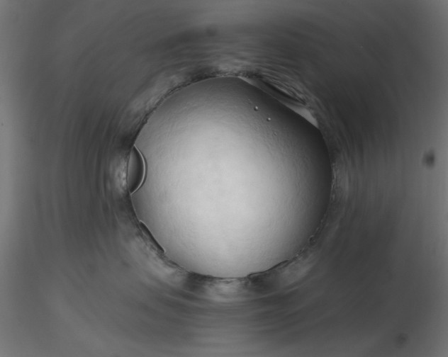 X0000116680479200912291723