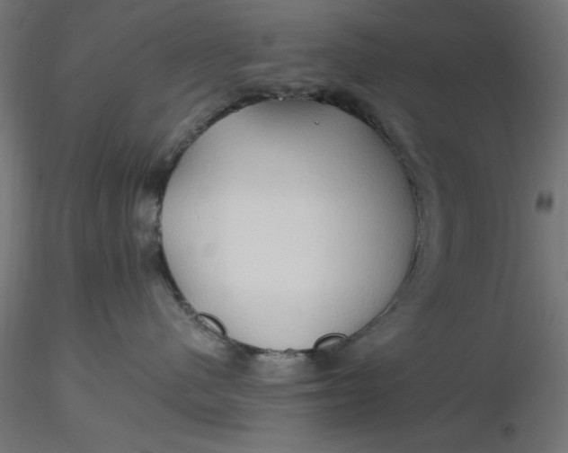 X0000116680480200912291723