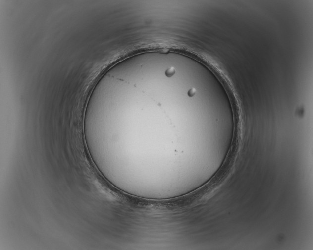 X0000116680481200912291722