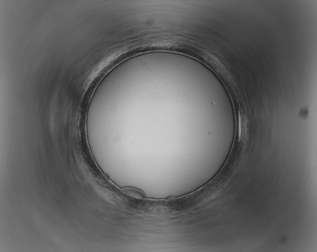 X0000116680483200912291722