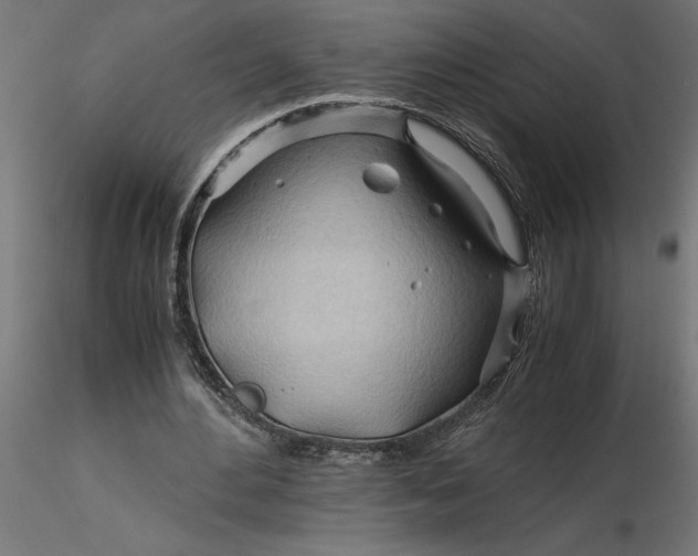 X0000116680484200912291722