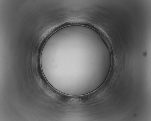 X0000116680487200912291722