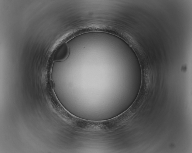 X0000116680488200912291722