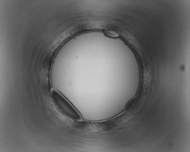 X0000116680489200912291722