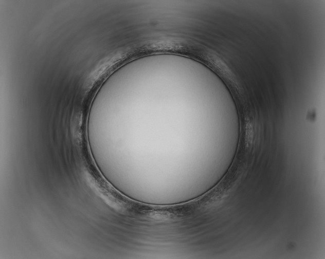 X0000116680490200912291722