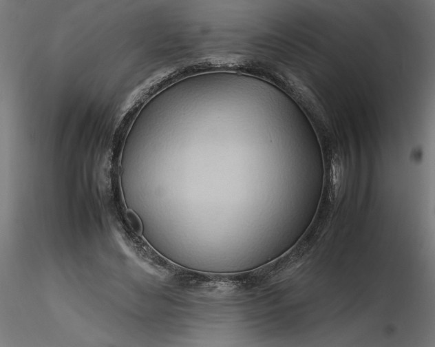 X0000116680492200912291722