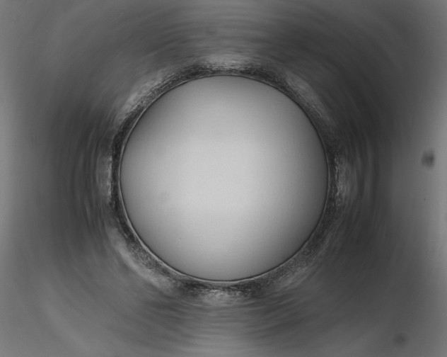 X0000116680494200912291722